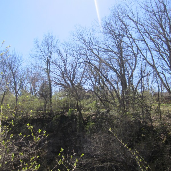 Picture of the cliffs at Hayden Falls Nature Preserve in Columbus, OH