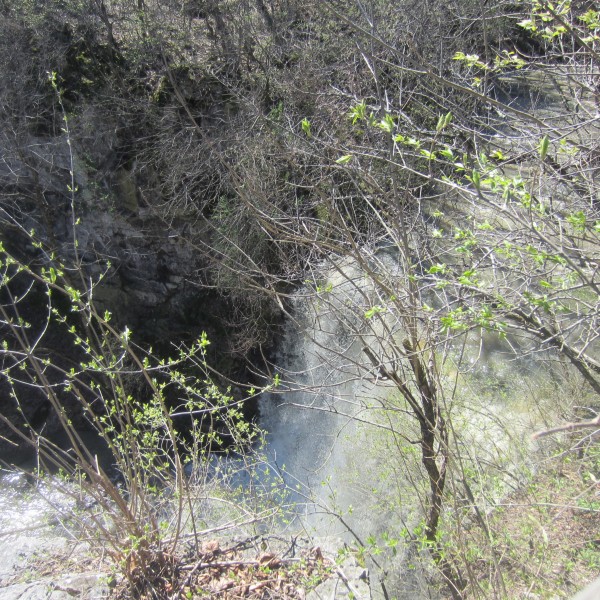 Picture of the waterfall at Hayden Falls Nature Preserve in Columbus, OH