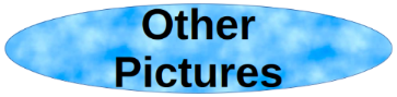 Other Pictures